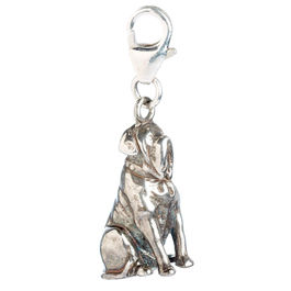 Harry Potter Hagrids Dog Fang silver charm