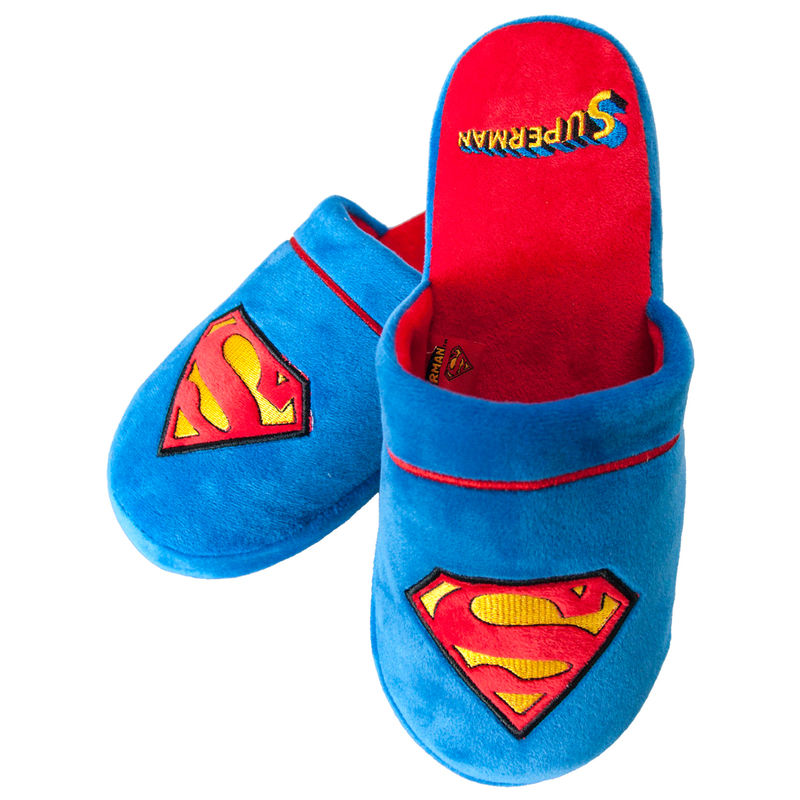 dc men's slippers