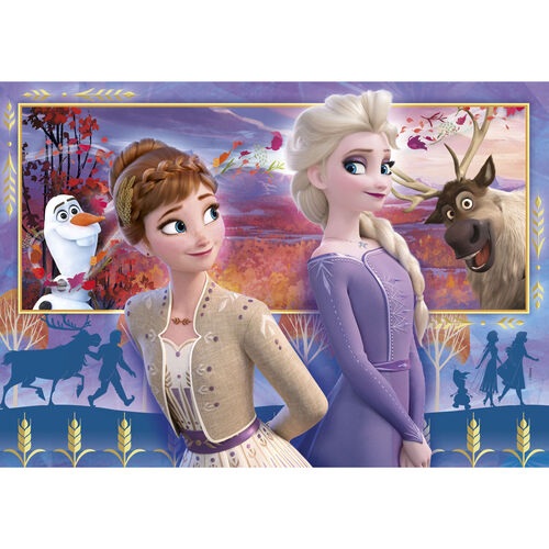 Disney Frozen 2 puzzle 60pcs