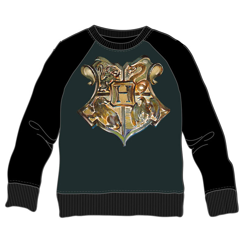 Harry Potter Hogwarts adult sweatshirt