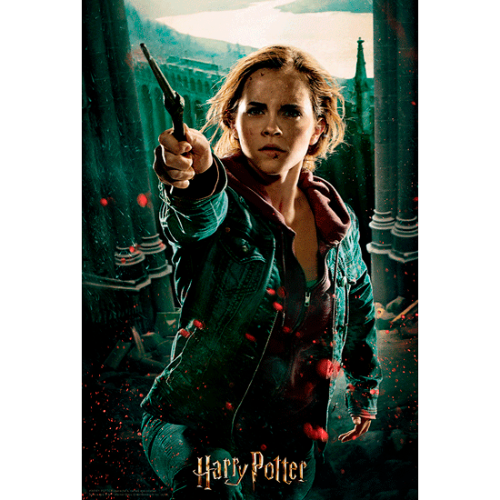 Puzzle lenticular Hermione Harry Potter 300pzs 670889330088