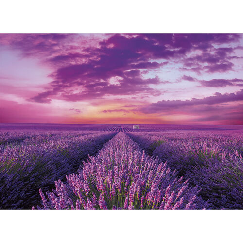 Lavender Field puzzle 1000pcs