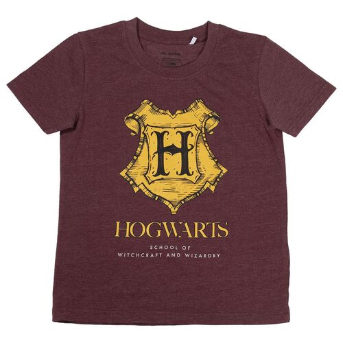 Conjunto Hogwarts Harry Potter
