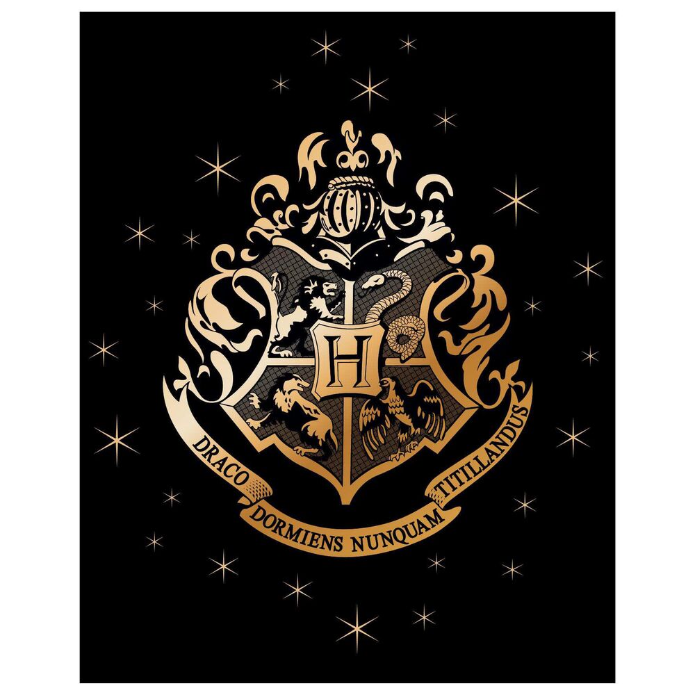 Manta premium coralina Hogwarts Harry Potter 5904009031919