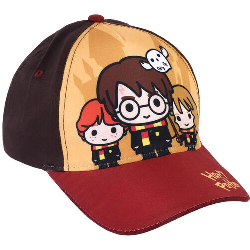 Harry Potter  assorted cap