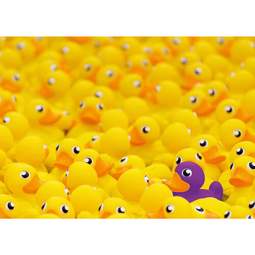 Rubber ducks puzzle 1000pcs