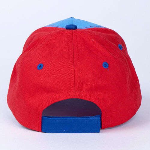 Sonic The Hedgehog assorted cap