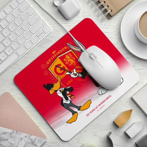 Warner Bros 100th Anniversary Looney Tunes Harry Potter Gryffindor mouse pad