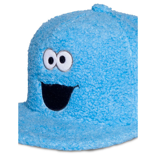 Sesame Street Cookie Monster cap