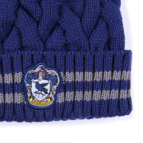Harry Potter Ravenclaw hat