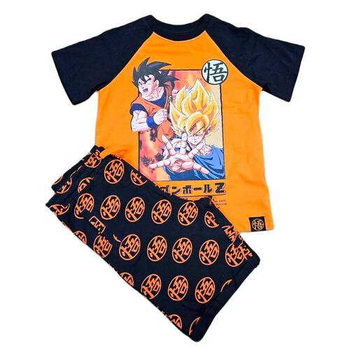 Dragon Ball outfit